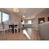 Heizpaneel, Infrarotstrahler INFRA + 950W